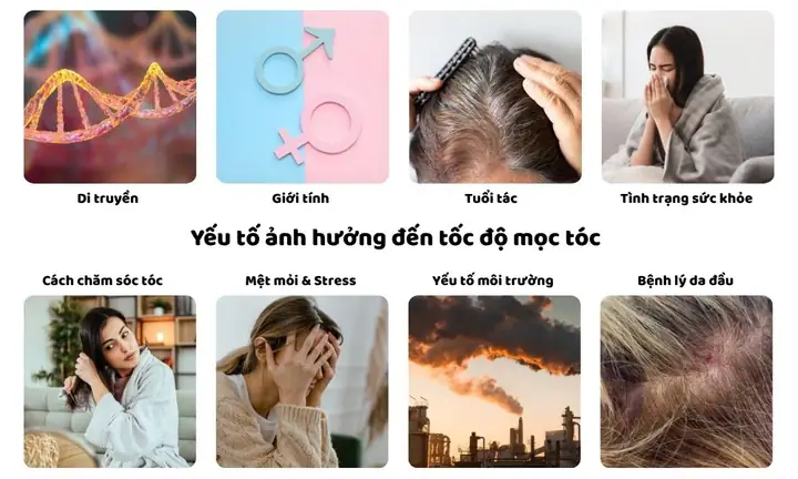 Tuần Tóc Dài Bao Nhiêu Cm? Sự Thật Khoa Học & Cách Kích Thích Mọc Tóc Nhanh