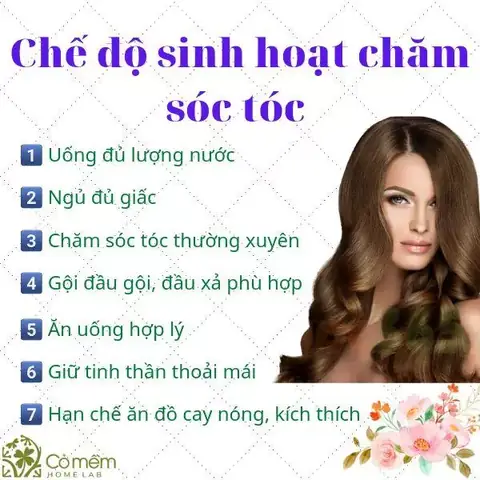 Ăn Gì Để Tóc Mọc Nhanh Và Dày Toàn Diện: Bí Quyết Từ Chuyên Gia Dinh Dưỡng