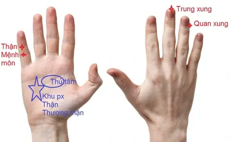 Bấm Huyệt Chữa Tóc Bạc: Hướng Dẫn Tác Động Huyệt Giúp Tóc Đen Trở Lại Bấm Huyệt Chữa Tóc Bạc: Hướng Dẫn Tác Động Huyệt Giúp Tóc Đen Trở Lại