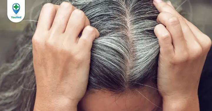 Bấm Huyệt Chữa Tóc Bạc: Hướng Dẫn Tác Động Huyệt Giúp Tóc Đen Trở Lại Bấm Huyệt Chữa Tóc Bạc: Hướng Dẫn Tác Động Huyệt Giúp Tóc Đen Trở Lại