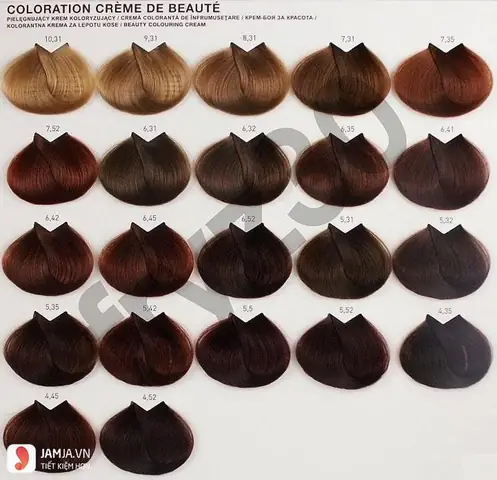 Khám Phá Bảng Màu Nhuộm Tóc L'oréal Đẹp Nhất: Chọn Màu Chuẩn Xu Hướng Cho Mọi Tông Da