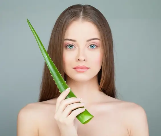 Bôi Nha Đam Lên Tóc: Công Thức Dưỡng Tóc Mềm Mượt, Giảm Rụng Tự Nhiên Tại Nhà