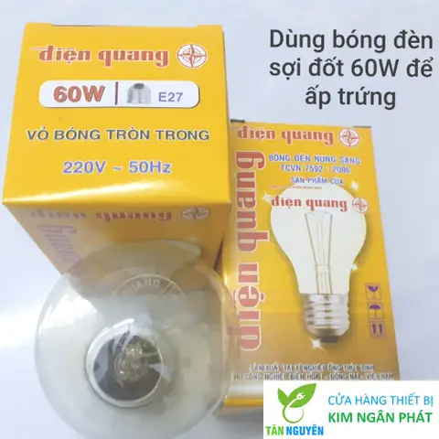 Bóng Đèn Dây Tóc Điện Quang: Thông Tin Chi Tiết Và Lựa Chọn Thay Thế Bóng Đèn Dây Tóc Điện Quang: Thông Tin Chi Tiết Và Lựa Chọn Thay Thế