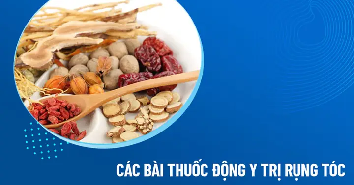 Các Bài Thuốc Đông Y Hiệu Quả Giúp Chữa Rụng Tóc, Phục Hồi Mái Tóc Chắc Khỏe