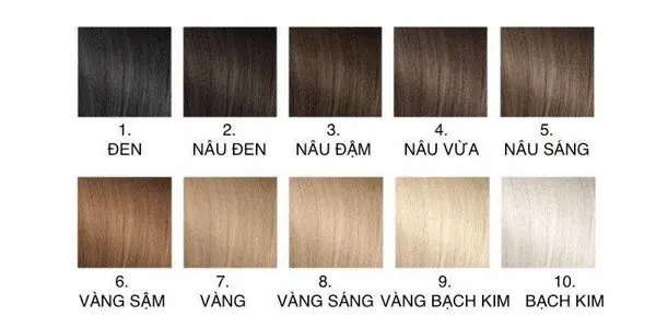 Giải Mã Các Cấp Độ Tẩy Tóc: Từ Nền Tối Đến Bạch Kim Chuẩn Salon