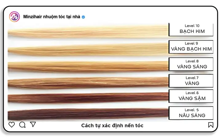 Giải Mã Các Cấp Độ Tẩy Tóc: Từ Nền Tối Đến Bạch Kim Chuẩn Salon