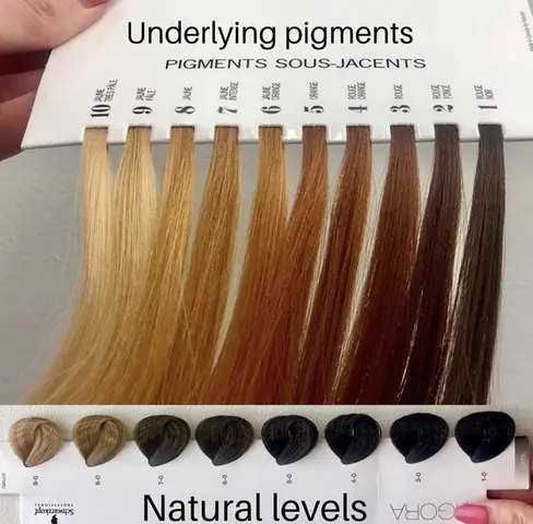 Giải Mã Các Cấp Độ Tẩy Tóc: Từ Nền Tối Đến Bạch Kim Chuẩn Salon