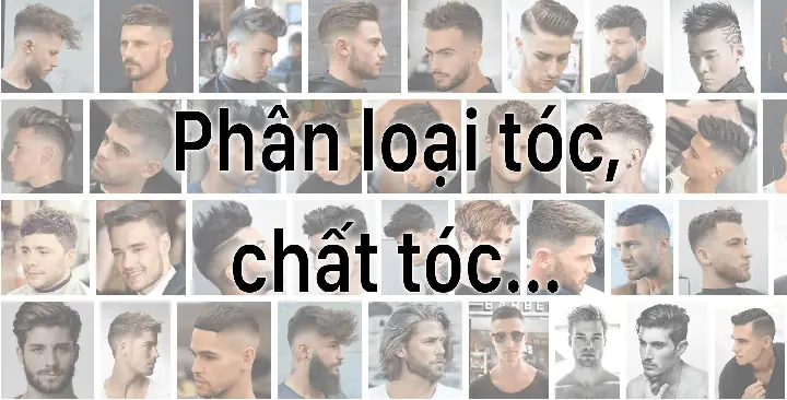 Nhận Diện & Chăm Sóc Các Loại Chất Tóc Nam: Hướng Dẫn Chi Tiết Cho Phái Mạnh Nhận Diện & Chăm Sóc Các Loại Chất Tóc Nam: Hướng Dẫn Chi Tiết Cho Phái Mạnh