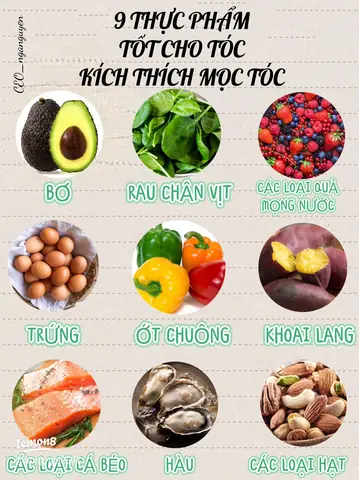 Loại Hạt Giàu Dưỡng Chất Giúp Tóc Mọc Chắc Khỏe, Dày Mượt & Giảm Rụng Hiệu Quả Loại Hạt Giàu Dưỡng Chất Giúp Tóc Mọc Chắc Khỏe, Dày Mượt & Giảm Rụng Hiệu Quả