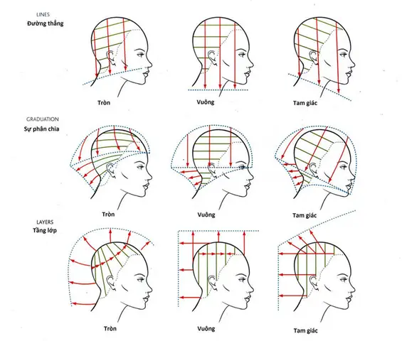 Khám Phá Các Trường Phái Cắt Tóc: Nguồn Gốc, Đặc Điểm Và Ứng Dụng Thực Tế