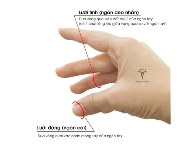 Cách Cầm Kéo Cắt Tóc Đúng Chuẩn Barber: Hướng Dẫn Chi Tiết Cho Người Mới Bắt Đầu Cách Cầm Kéo Cắt Tóc Đúng Chuẩn Barber: Hướng Dẫn Chi Tiết Cho Người Mới Bắt Đầu