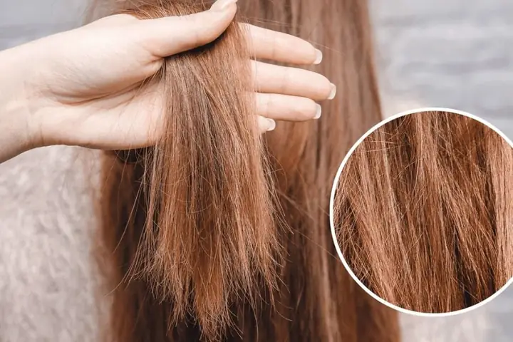 Bí Quyết Vàng Phục Hồi Tóc Hư Tổn Hiệu Quả Tại Nhà Bí Quyết Vàng Phục Hồi Tóc Hư Tổn Hiệu Quả Tại Nhà