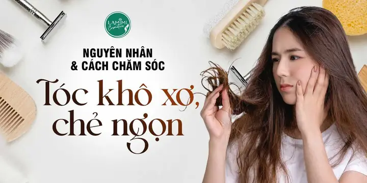Tóc Khô Xơ Chẻ Ngọn: Nguyên Nhân, Cách Chăm Sóc & Phục Hồi Hiệu Quả Tại Nhà