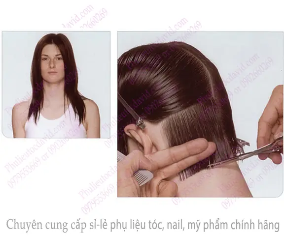 Cách Chia Tóc Nữ Cơ Bản Chuẩn Salon: Hướng Dẫn Từ A-z Cho Mọi Kiểu Tóc