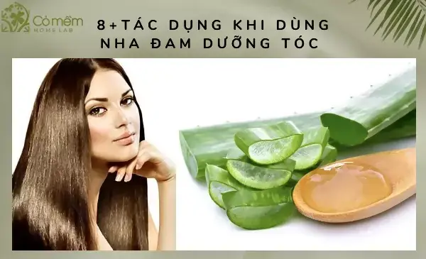 Cách Dưỡng Tóc Bằng Nha Đam Hiệu Quả Tại Nhà Cho Tóc Mềm Mượt, Bồng Bềnh