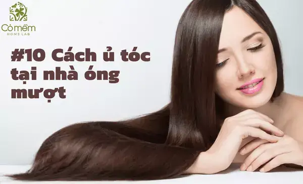 10+ Cách Dưỡng Tóc Mềm Mượt Tại Nhà Đơn Giản, Hiệu Quả Nhất 2026 10+ Cách Dưỡng Tóc Mềm Mượt Tại Nhà Đơn Giản, Hiệu Quả Nhất 2026