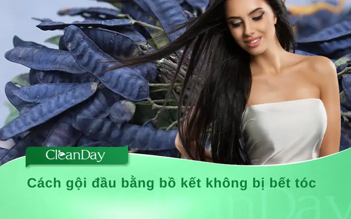 Bí Quyết Gội Đầu Bằng Bồ Kết Không Bị Bết Tóc: Hướng Dẫn Chi Tiết Cho Mái Tóc Mềm Mượt
