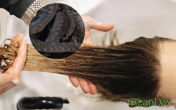Bí Quyết Gội Đầu Bằng Bồ Kết Không Bị Bết Tóc: Hướng Dẫn Chi Tiết Cho Mái Tóc Mềm Mượt