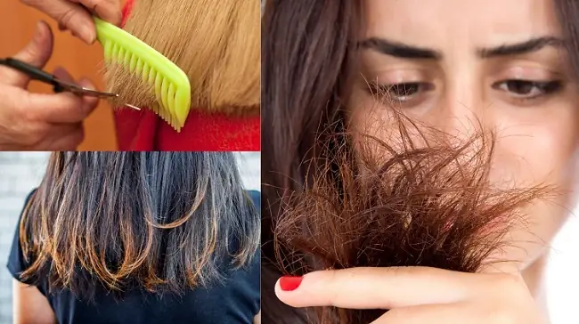 Bí Quyết Tóc Chắc Khỏe: 15 Cách Đơn Giản Ngăn Ngừa Tóc Chẻ Ngọn Tại Nhà Bí Quyết Tóc Chắc Khỏe: 15 Cách Đơn Giản Ngăn Ngừa Tóc Chẻ Ngọn Tại Nhà