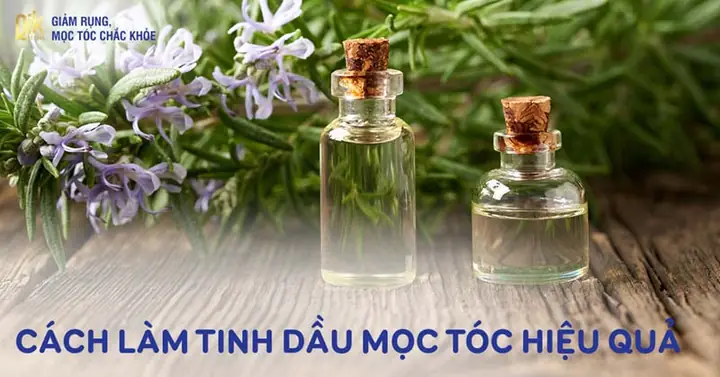 Hướng Dẫn Cách Làm Tinh Dầu Dưỡng Tóc Tại Nhà Chi Tiết & Hiệu Quả