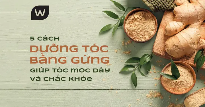 Công Thức Gừng Giúp Tóc Mọc Dày Nhanh Chóng, Chắc Khỏe Tại Nhà Công Thức Gừng Giúp Tóc Mọc Dày Nhanh Chóng, Chắc Khỏe Tại Nhà