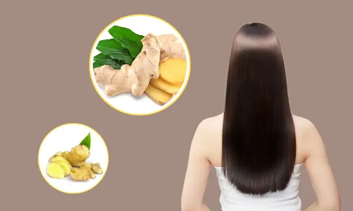 Công Thức Gừng Giúp Tóc Mọc Dày Nhanh Chóng, Chắc Khỏe Tại Nhà Công Thức Gừng Giúp Tóc Mọc Dày Nhanh Chóng, Chắc Khỏe Tại Nhà