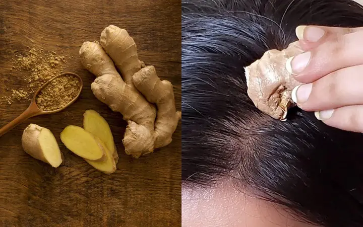 Công Thức Gừng Giúp Tóc Mọc Dày Nhanh Chóng, Chắc Khỏe Tại Nhà Công Thức Gừng Giúp Tóc Mọc Dày Nhanh Chóng, Chắc Khỏe Tại Nhà