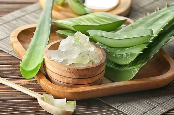 Bí Quyết Tóc Dài Nhanh: Kích Thích Mọc Tóc Hiệu Quả Với Nha Đam Tại Nhà