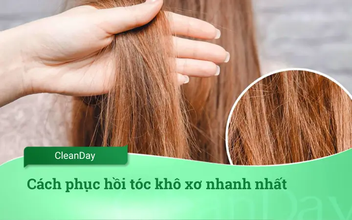 Tạm Biệt Tóc Khô Xơ: 10+ Cách Phục Hồi Nhanh Chóng & Hiệu Quả Tại Nhà