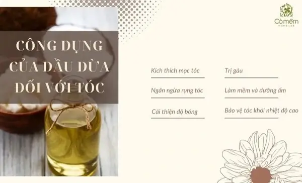 Cách Sử Dụng Dầu Dừa Giảm Rụng Tóc Hiệu Quả & Tóc Mọc Dày Nuôi Dưỡng Tóc Chắc Khỏe