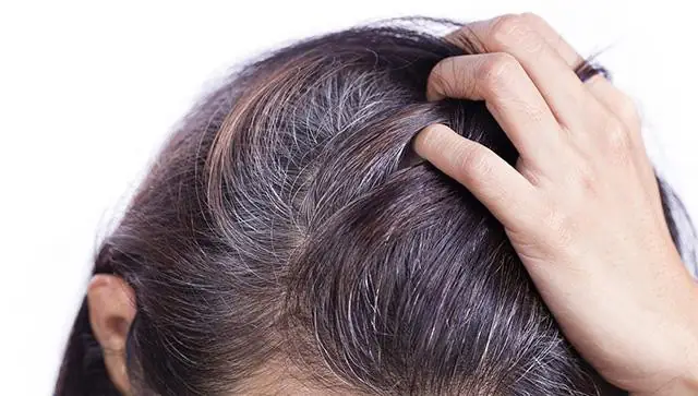 Hướng Dẫn Sử Dụng Dầu Gội Nhuộm Tóc: Từ A-z Cho Mái Tóc Đẹp & An Toàn
