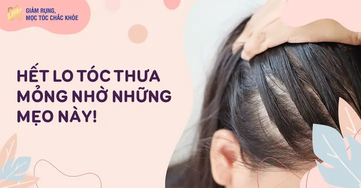 Bí Quyết Trị Tóc Mỏng Và Thưa: Nguyên Nhân, Giải Pháp & Cách Chăm Sóc Hiệu Quả Tại Nhà Bí Quyết Trị Tóc Mỏng Và Thưa: Nguyên Nhân, Giải Pháp & Cách Chăm Sóc Hiệu Quả Tại Nhà
