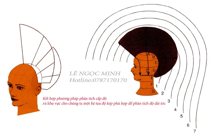 Cắt Tóc Design Là Gì? Hướng Dẫn Tạo Kiểu Tóc Độc Đáo Theo Xu Hướng Cắt Tóc Design Là Gì? Hướng Dẫn Tạo Kiểu Tóc Độc Đáo Theo Xu Hướng