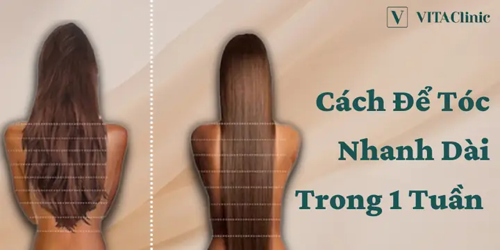 Cắt Tóc Có Giúp Tóc Nhanh Dài Không? Sự Thật Đằng Sau Việc Tỉa Ngọn Tóc & Cách Nuôi Dưỡng Tóc Mọc Dài Hiệu Quả