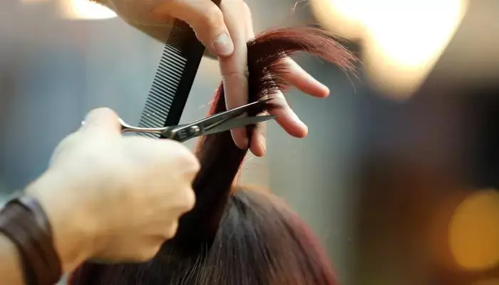 Mùng 2 Có Nên Cắt Tóc Không? Giải Đáp Quan Niệm Dân Gian Và Lời Khuyên Hữu Ích Mùng 2 Có Nên Cắt Tóc Không? Giải Đáp Quan Niệm Dân Gian Và Lời Khuyên Hữu Ích