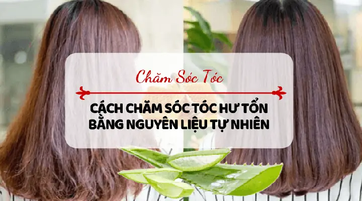 10+ Cách Chăm Sóc Tóc Khô Xơ Bằng Phương Pháp Tự Nhiên Giúp Mái Tóc Mềm Mượt, Óng Ả