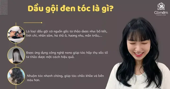 Có Nên Dùng Dầu Gội Đen Tóc Phủ Bạc Không? Lợi Ích, Tác Hại Và Lưu Ý Quan Trọng