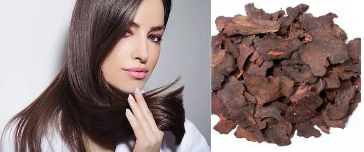 Công Dụng Của Hà Thủ Ô Đối Với Tóc: Bí Quyết Cho Mái Tóc Đen Mượt, Chắc Khỏe Tự Nhiên