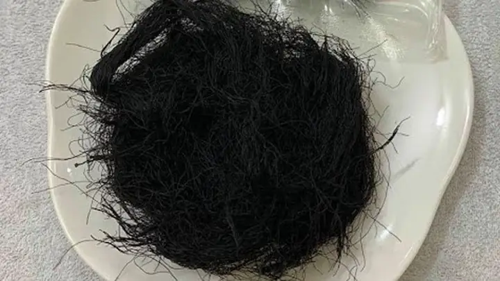 Công Dụng Tóc Tiên: Khám Phá Toàn Diện Lợi Ích Và Ứng Dụng Trong Y Học Cổ Truyền Công Dụng Tóc Tiên: Khám Phá Toàn Diện Lợi Ích Và Ứng Dụng Trong Y Học Cổ Truyền