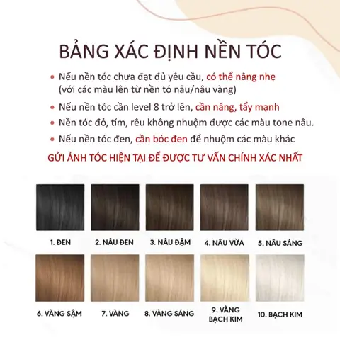 Công Thức Nâng Nền Tóc Chuẩn Salon: Lên Level Màu Mong Muốn Từ Tóc Đen