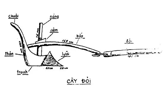 Da Mồi Tóc Sương: Đặt Câu, Giải Nghĩa Thành Ngữ Và Ý Nghĩa Sâu Sắc Da Mồi Tóc Sương: Đặt Câu, Giải Nghĩa Thành Ngữ Và Ý Nghĩa Sâu Sắc