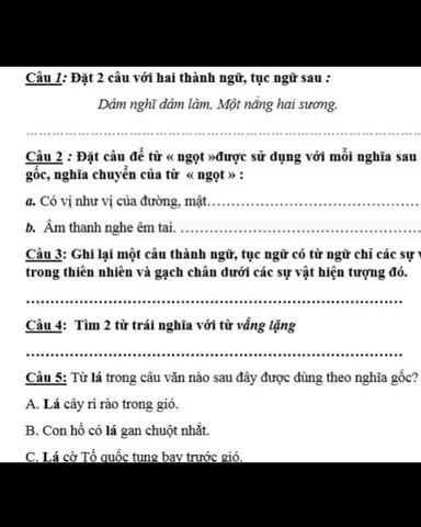 Da Mồi Tóc Sương: Đặt Câu, Giải Nghĩa Thành Ngữ Và Ý Nghĩa Sâu Sắc Da Mồi Tóc Sương: Đặt Câu, Giải Nghĩa Thành Ngữ Và Ý Nghĩa Sâu Sắc