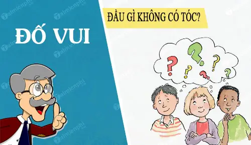 Giải Mã Câu Đố "đầu Gì Không Có Tóc"? Hé Lộ Những Đáp Án Bất Ngờ
