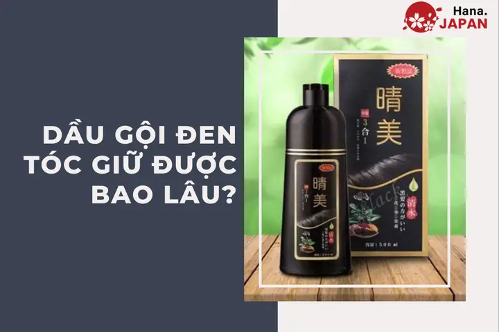 Dầu Gội 1 Lần Đen Tóc: Giải Pháp Nhanh Chóng Che Phủ Tóc Bạc Hiệu Quả