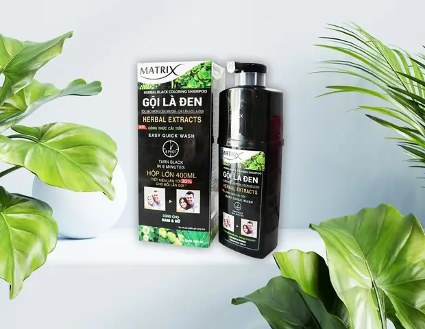 Dầu Gội 1 Lần Đen Tóc: Giải Pháp Nhanh Chóng Che Phủ Tóc Bạc Hiệu Quả