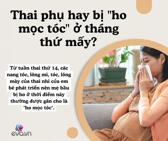 Bà Bầu Bị Ho Mọc Tóc: Nhận Biết Dấu Hiệu, Nguyên Nhân & Cách Xử Lý An Toàn Bà Bầu Bị Ho Mọc Tóc: Nhận Biết Dấu Hiệu, Nguyên Nhân & Cách Xử Lý An Toàn