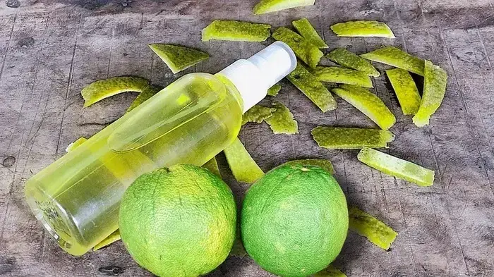 Dùng Tinh Dầu Bưởi Có Bị Bết Tóc Không? Cách Dùng Tóc Mượt Mà Không Bết Dùng Tinh Dầu Bưởi Có Bị Bết Tóc Không? Cách Dùng Tóc Mượt Mà Không Bết