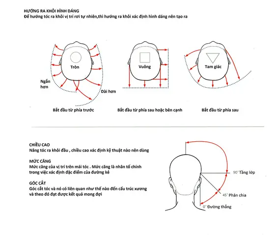 Giáo Trình Cắt Tóc Nam Chuyên Nghiệp: Từ Cơ Bản Đến Nâng Cao Cho Barber