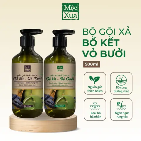 Gội Bồ Kết Mọc Tóc: Bí Quyết Tóc Dày, Khỏe Tự Nhiên Từ Dân Gian Gội Bồ Kết Mọc Tóc: Bí Quyết Tóc Dày, Khỏe Tự Nhiên Từ Dân Gian