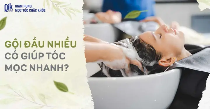 Gội Đầu Nhiều Tóc Có Nhanh Mọc Không? Giải Mã Sự Thật & Tần Suất Lý Tưởng Gội Đầu Nhiều Tóc Có Nhanh Mọc Không? Giải Mã Sự Thật & Tần Suất Lý Tưởng